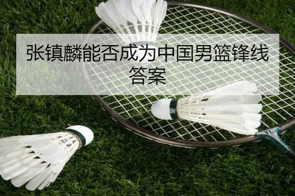 张镇麟能否成为中国男篮锋线答案